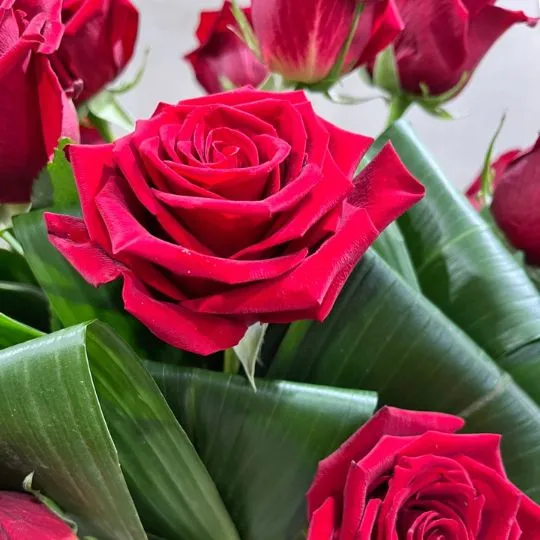 caja pote strass gold con rosas importadas